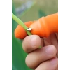 Silikon Parmak Koruyucu Meyve Toplama Aracı Bahçe Kesme Bıçak Eldiven