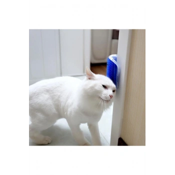 Pratik Kedi Tüyü Kaşıma Ve Tarama Aparatı Duvara Monte Kaşıma Aleti