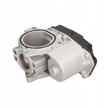 EGR VALFI VW BEETLE EOS GOLF V - VI JETTA PASSAT TIGUAN TOUAREG AUDI A3 A4 A5 Q5 TT SEAT ALTEA AROSA EXEO OCTAVIA SUPERB ROOMSTER 2.0TDI