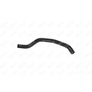 GENLEŞME ŞİŞE HORTUMU