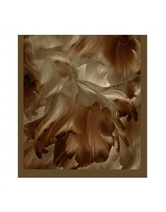 Şehri Şal Bambu Kraş Şal 6180 D14