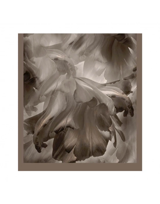 Şehri Şal Bambu Kraş Şal 6180 D6