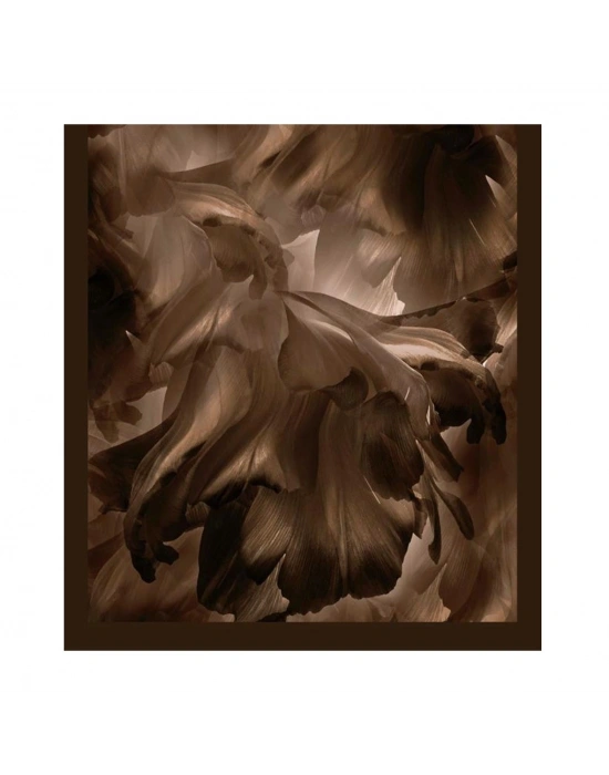 Şehri Şal Bambu Kraş Şal 6184 D10