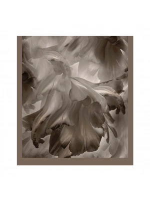 Şehri Şal Bambu Kraş Şal 6180 D6