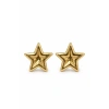 Star Küpe