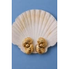 Shell Küpe