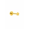 Titanyum Piercing