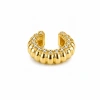 Ear Cuff