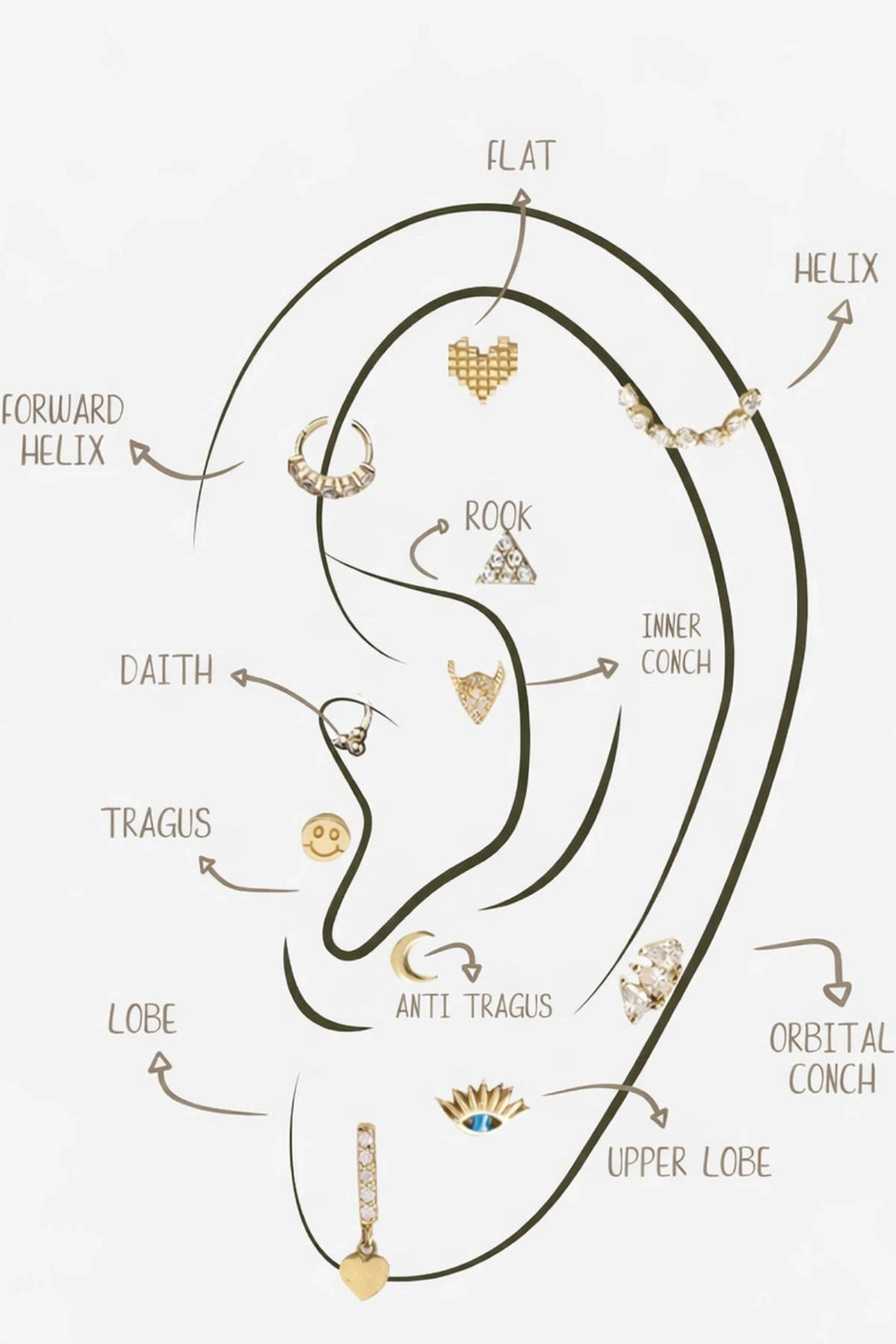 Kulak Delim Randevusu