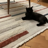 Eko Halı Terazzo TRZ 01 Multy İskandinav Modern Halı