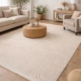Hoom Rugs Grandy 4666 Bej Modern Halı