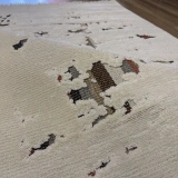 Luxess Halı Sunset 1170 Krem Modern Yumuşak Makine Halısı