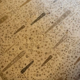 Hoom Rugs Woolly 4122 Krem Modern Salon Halısı