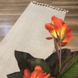 Hoom Rugs Bohho BH04 Bej İskandinav Modern Halı