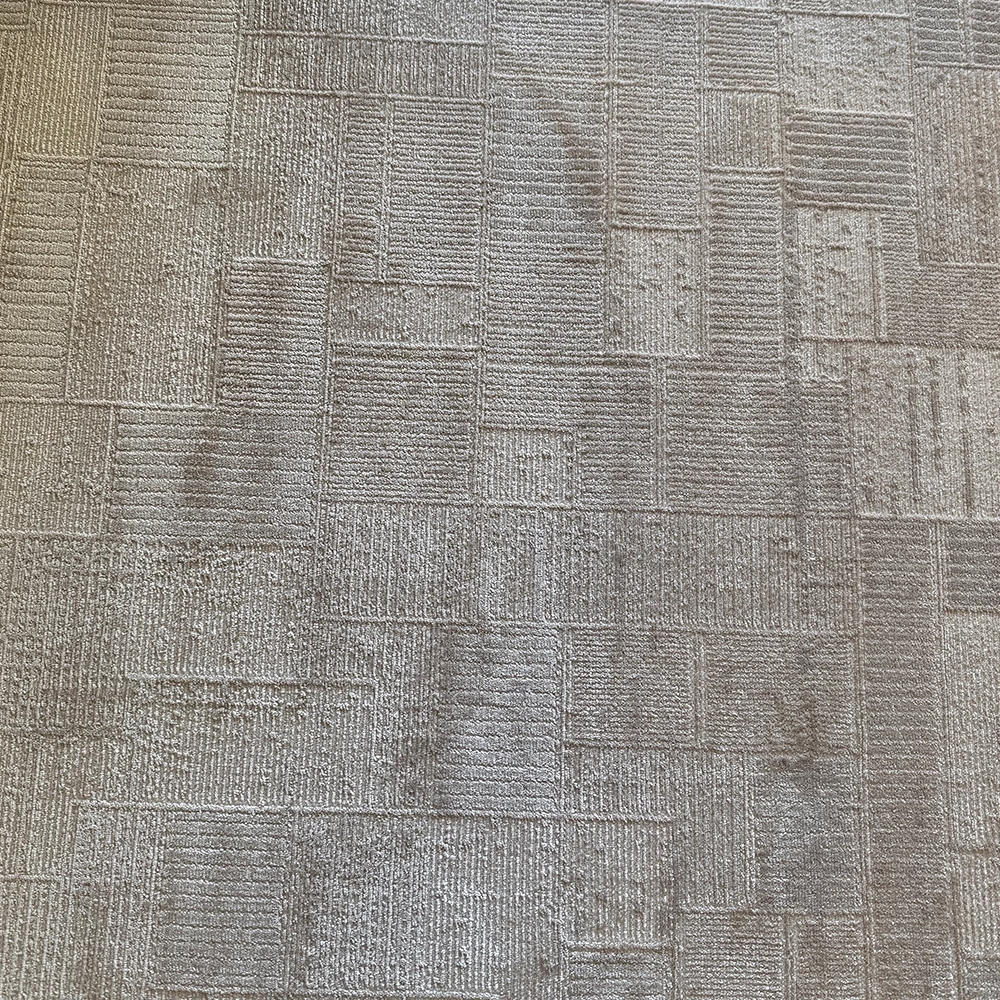 Luxess Halı İpek 1134 Vizon Modern Halı