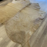 Hoom Rugs Dana Derisi P09 3,45M2