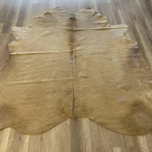 Hoom Rugs Dana Derisi P09 3,45M2