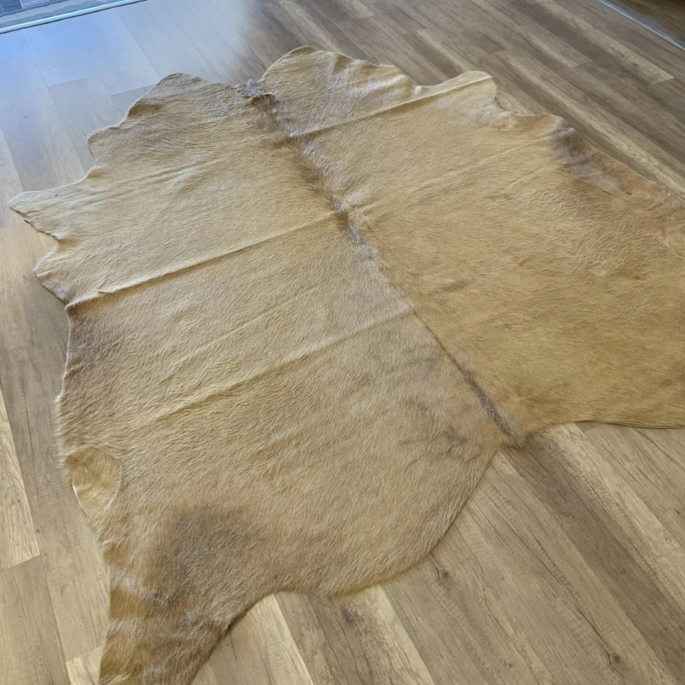 Hoom Rugs Dana Derisi P09 3,45M2