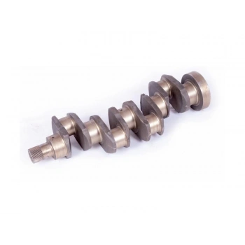 AK MOTOR KRANK