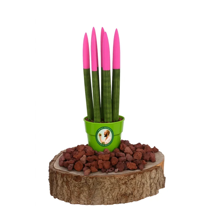 Renkli Paşa Kılıcı (30cm, Pembe)