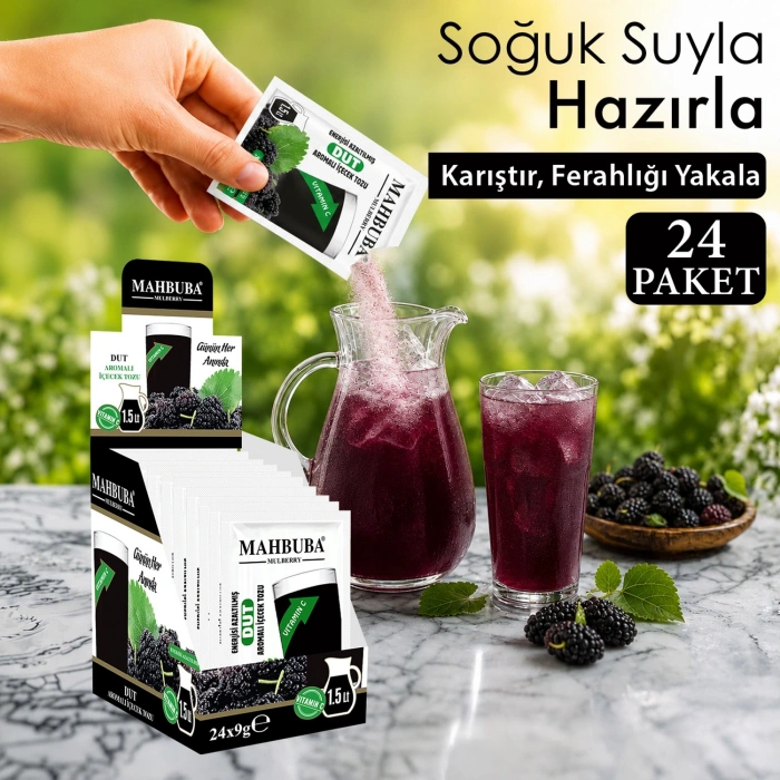 Dut Aromalı Soğuk Toz İçecek 24x9gr
