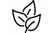 DÖKME ÇAY