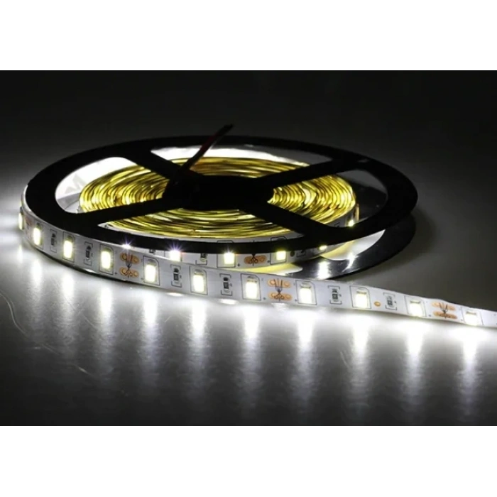 CATA 12v Dc BEYAZ 12 Çip Gold İç Mekan Şerit Led 6500k 1mt 16w IP20 (Metrede 12 Çipli 60 Led)