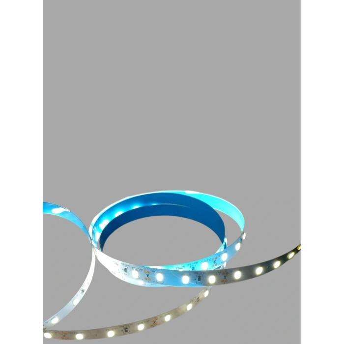CATA 12v Dc BEYAZ 12 Çip Gold İç Mekan Şerit Led 6500k 1mt 16w IP20 (Metrede 12 Çipli 60 Led)