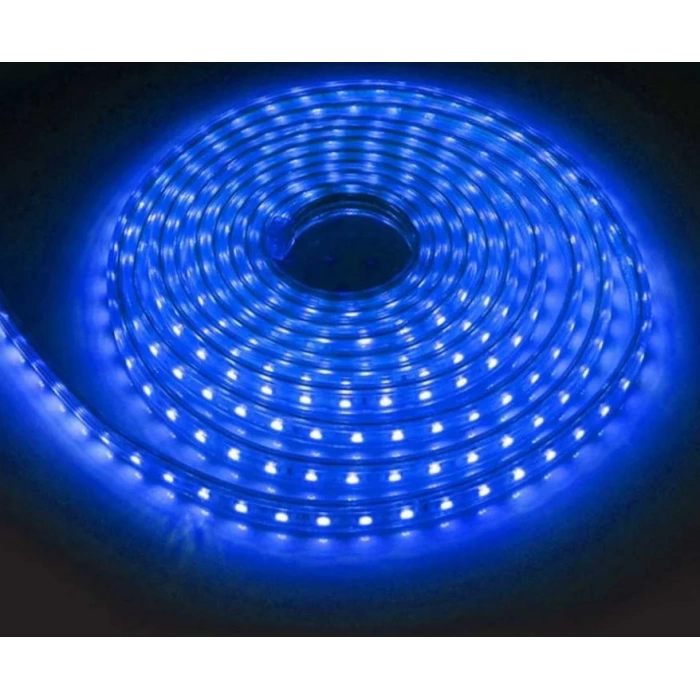 LUSTER 220V HORTUM LED MAVİ 1 METRE