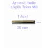 ARNİCA Libella Fırçalı Turbo Başlık Küçük Tekerlek Mili (Eski Model EP TF Orjinal Yedek Parça)