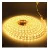 CATA 10 Çip 220V Dış Mekan Trafosuz Şerit Led 3500 k Günışığı Kendinden Yapışkanlı (120 Led)