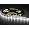 CATA 12v Dc BEYAZ 12 Çip Gold İç Mekan Şerit Led 6500k 1mt 16w IP20 (Metrede 12 Çipli 60 Led)
