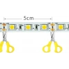 CATA 12v Dc BEYAZ 12 Çip Gold İç Mekan Şerit Led 6500k 1mt 16w IP20 (Metrede 12 Çipli 60 Led)
