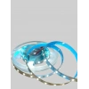 CATA 12v Dc BEYAZ 12 Çip Gold İç Mekan Şerit Led 6500k 1mt 16w IP20 (Metrede 12 Çipli 60 Led)