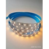 CATA 12v Dc GÜNIŞIĞI 12 Çip Gold İç Mekan Şerit Led 3000k 1mt 16w IP20 (Metrede 12 Çipli 60 Led)