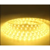LUSTER 220V HORTUM LED GÜNIŞIĞI 1 METRE