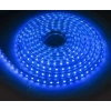 LUSTER 220V HORTUM LED MAVİ 1 METRE