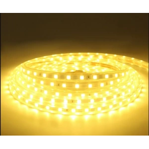LUSTER 220V HORTUM LED GÜNIŞIĞI 1 METRE