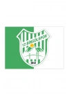 12 Bingölspor Sallama Bayrak