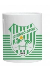 12 Bingölspor Kupa Bardak