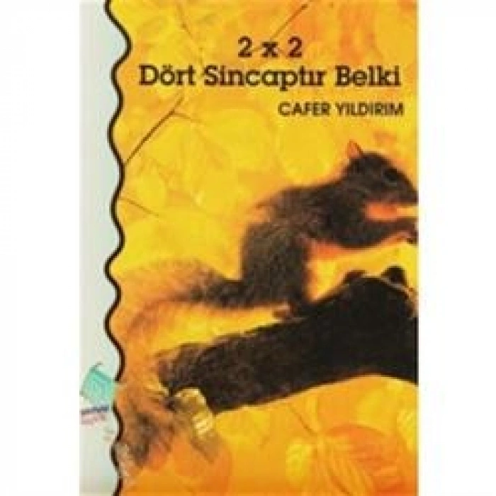 2 X 2 Dört Sincaptır Belki
