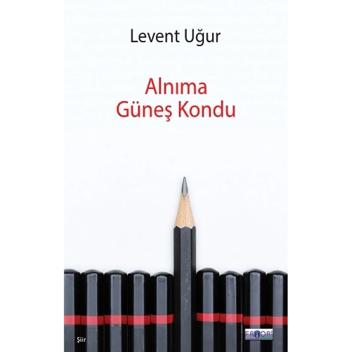 Alnıma Güneş Kondu