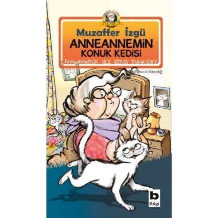 Anneannemin Konuk Kedisi