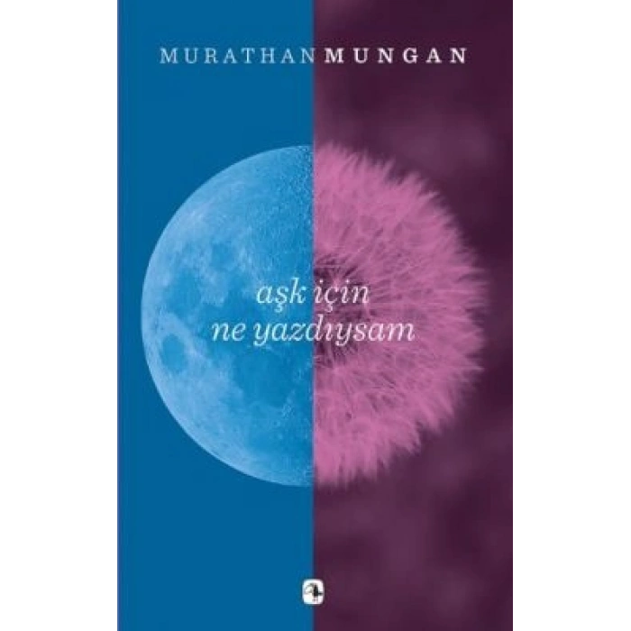 Aşk İçin Ne Yazdıysam
