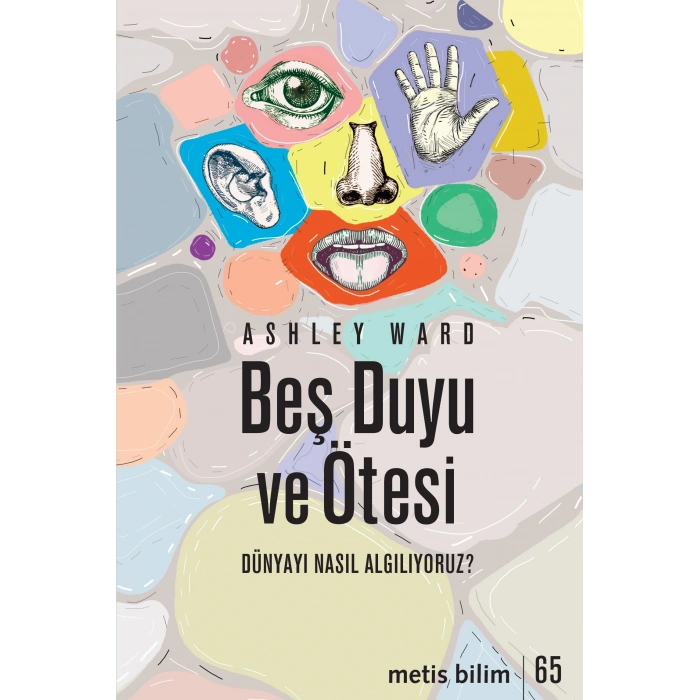 Beş Duyu Ve Ötesi
