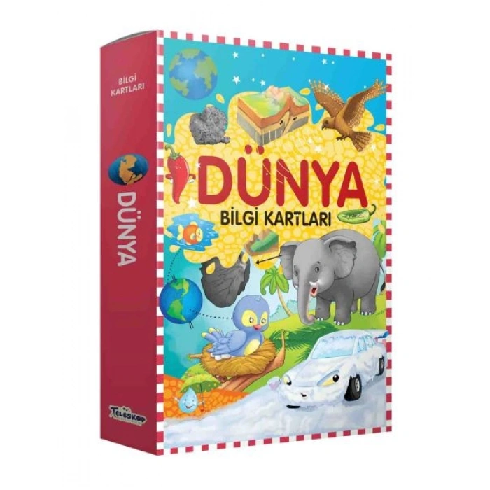 Bilgi Kartları - Dünya