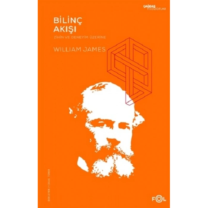 Bilinç Akışı – Zihin Ve Deneyim Üzerine