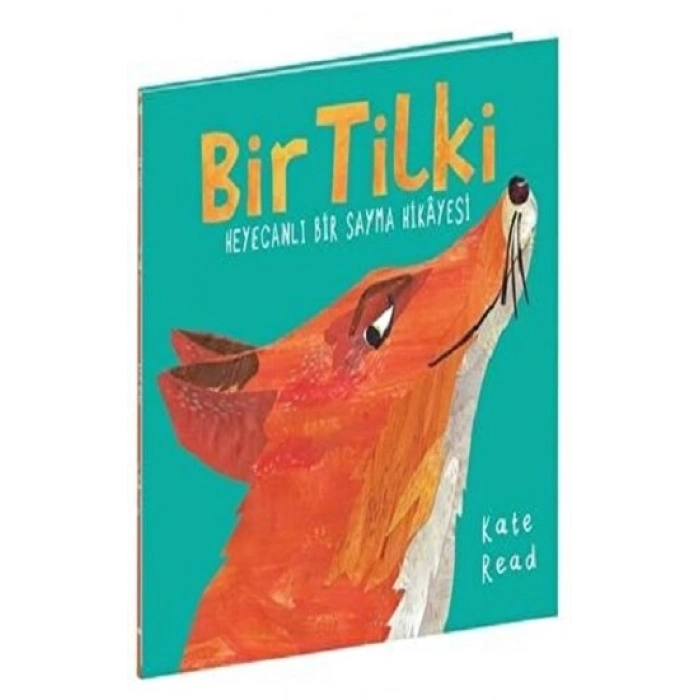 Bir Tilki Heyecanlı Bir Sayma Hikayesi