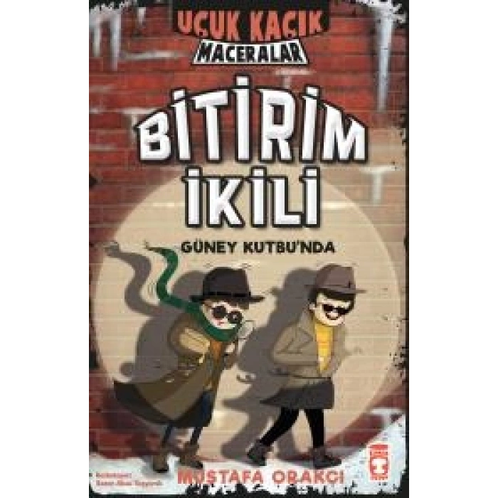 Bitirim İkili Güney Kutbunda