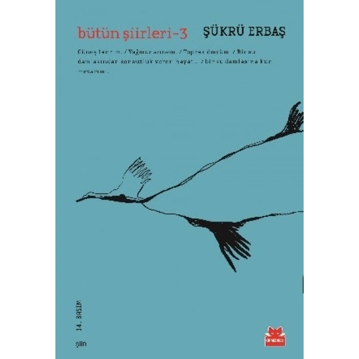 Bütün Şiirleri - 3